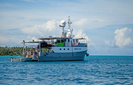 PNG.EXPLORER